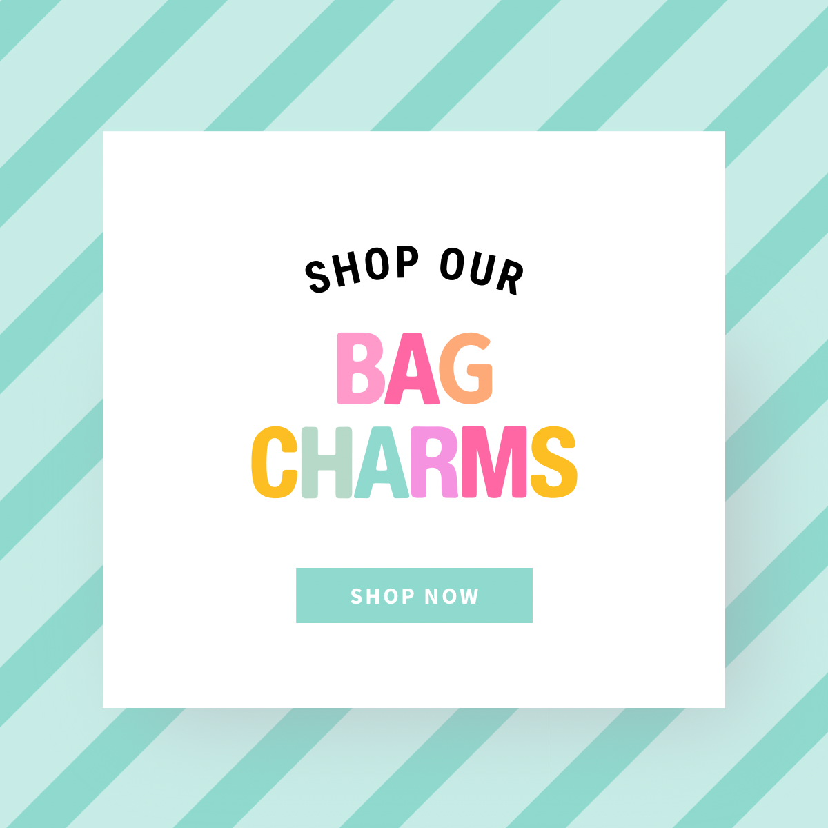 Bag Charms